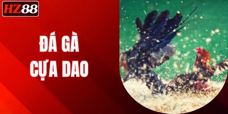 da-ga-cua-dao